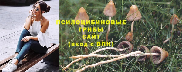 а пвп мука Козельск