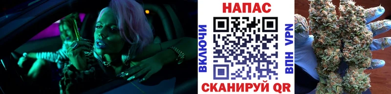 продажа наркотиков  Евпатория  darknet клад  Марихуана сатива 